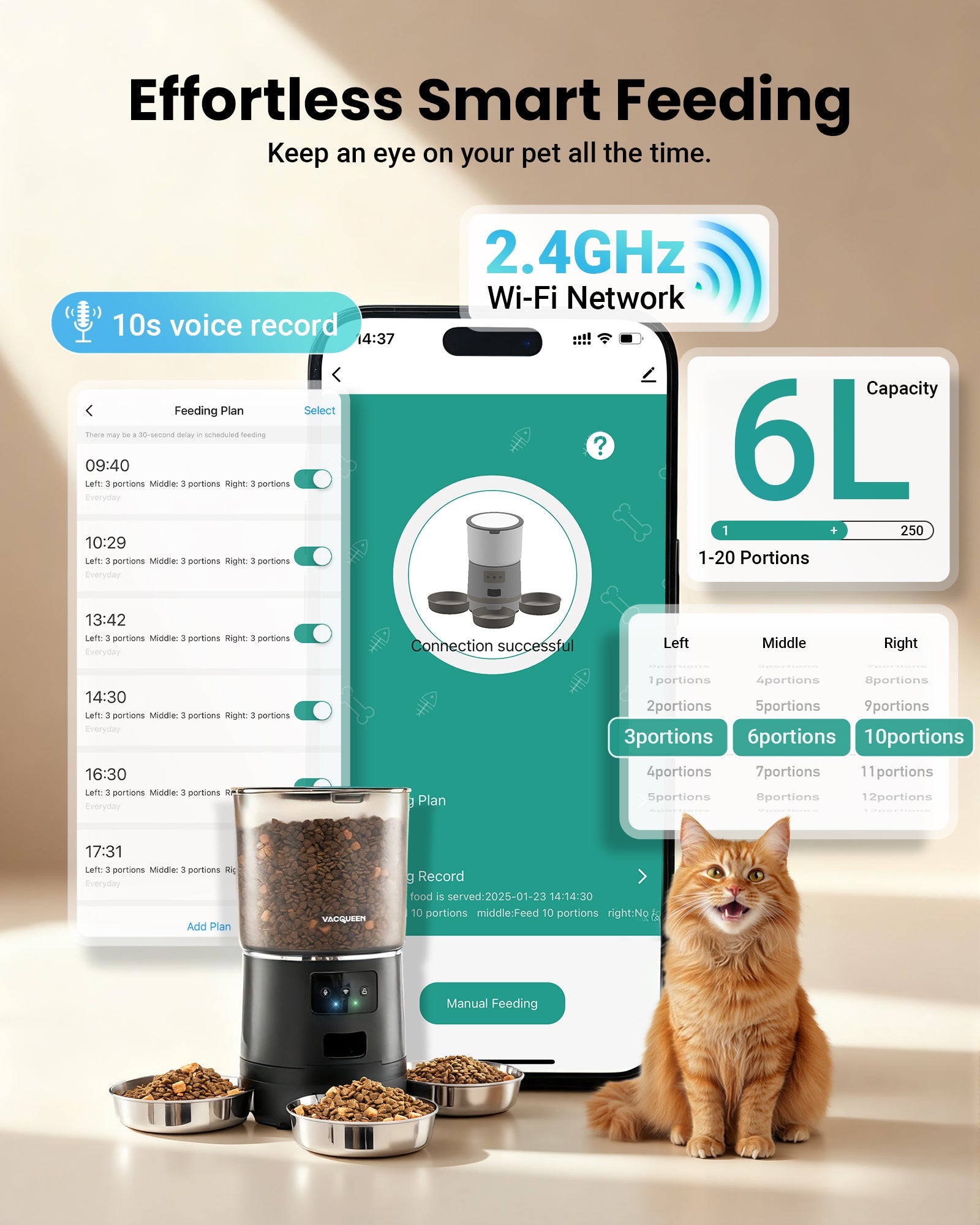 Capacity & Portion Control: Is 6L Enough for 3 Cats?
