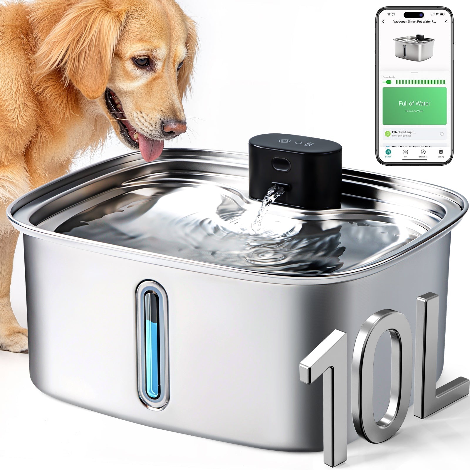 Capacity & Pet Household Size: Is 10L the Right Fit?