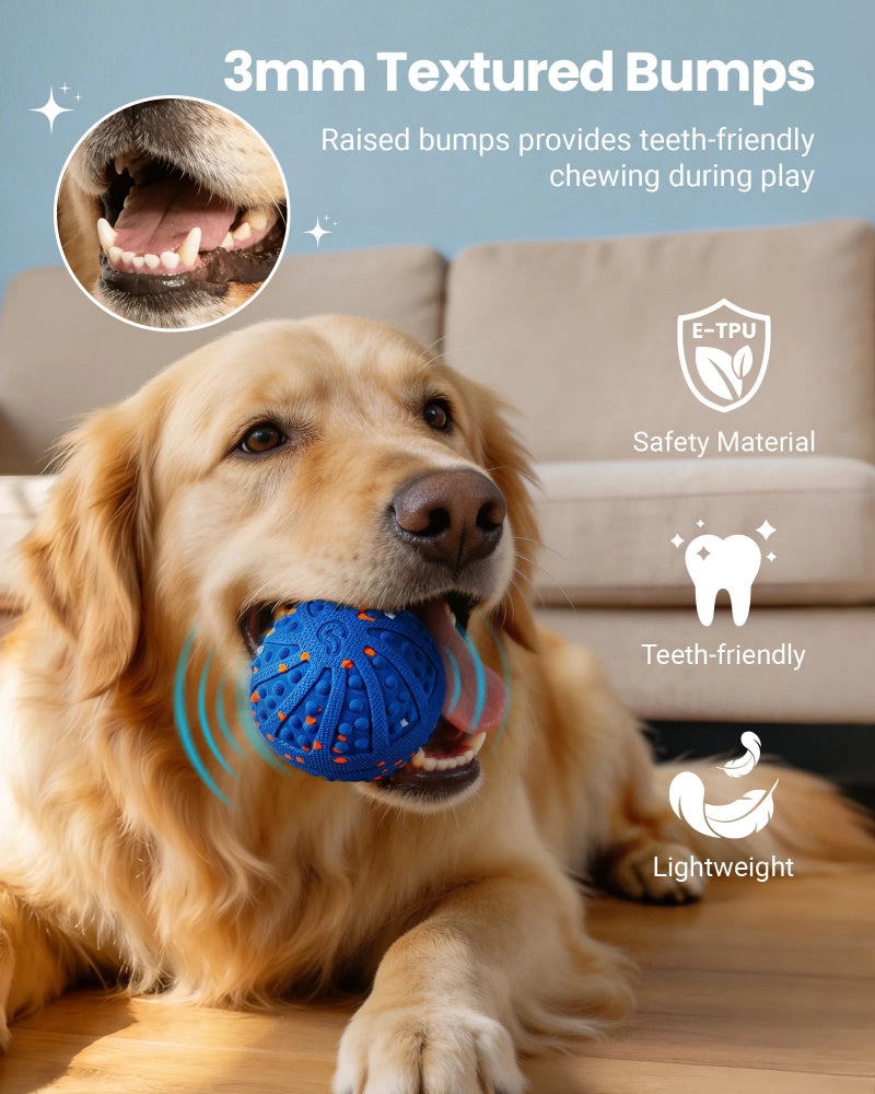Interactive Dog Ball with 3-Mode Remote | Vacqueen