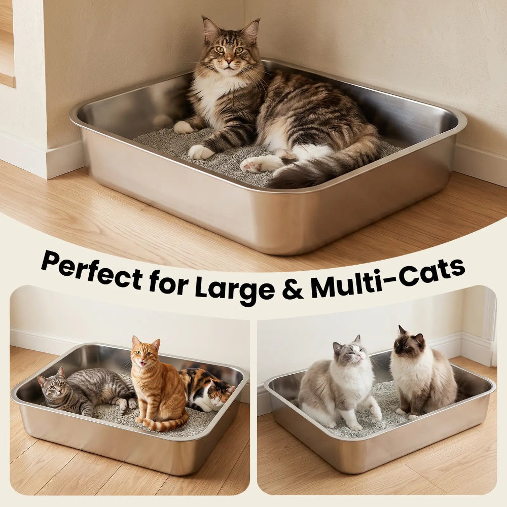 Perfect for Large & Multi-cats