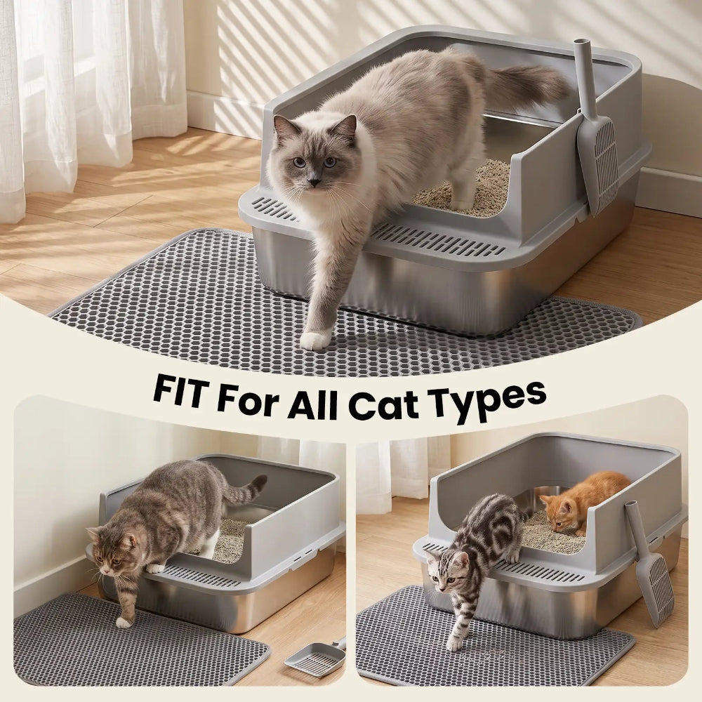 Cat litter box with wide litter filtering step and litter mat