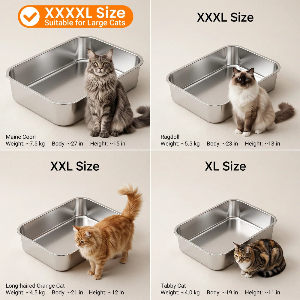 Large cat using Vacqueen stainless steel litter box