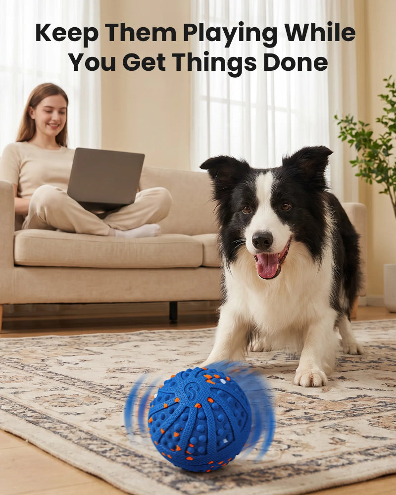 Auto Play Interactive Dog Ball – 3 Modes & ETPU | Vacqueen